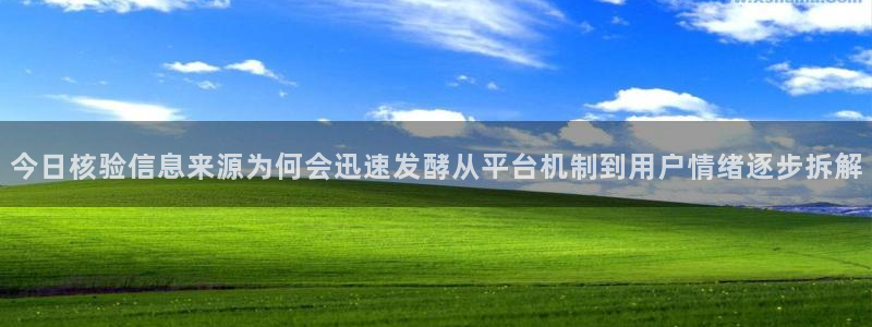 51 吃瓜网