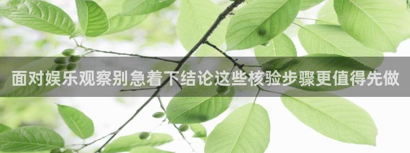 吃瓜观影站最新视频:面对娱乐观察别急着下结论这些核验步骤更值得先做